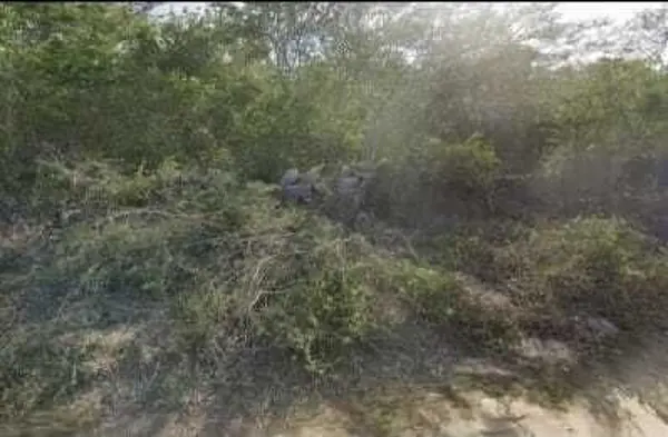 Terreno en venta en Xcunya, Mérida — foto 2 de 5