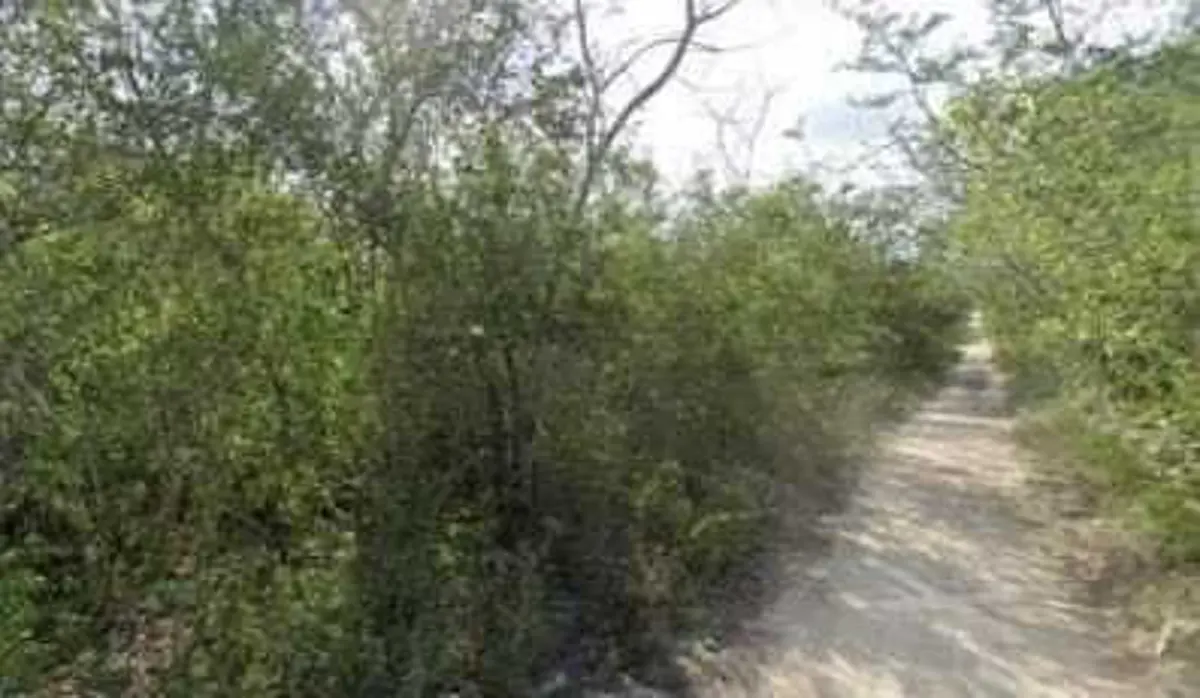 Terreno en venta en Xcunya, Mérida — foto 1 de 5