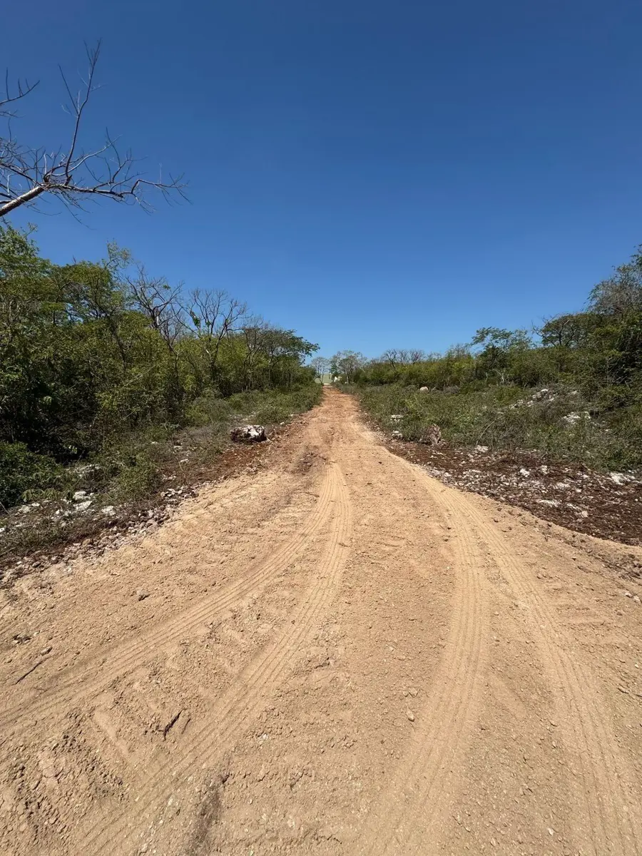 Terreno en venta en Dzitya, Mérida — foto 1 de 6
