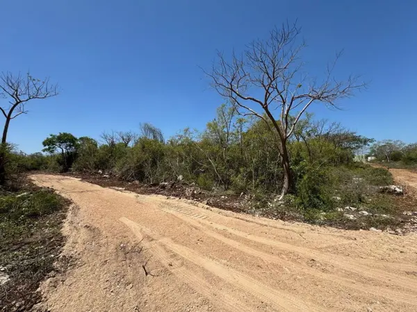 Terreno en venta en Dzitya, Mérida — foto 2 de 6