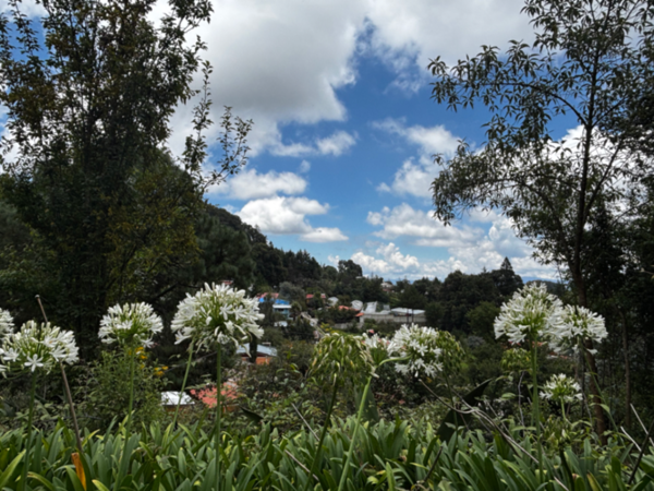 Terreno en venta en Carboneras, Mineral del Chico — foto 3 de 5