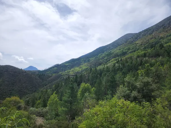 Terreno en Venta El Carmen Arteaga