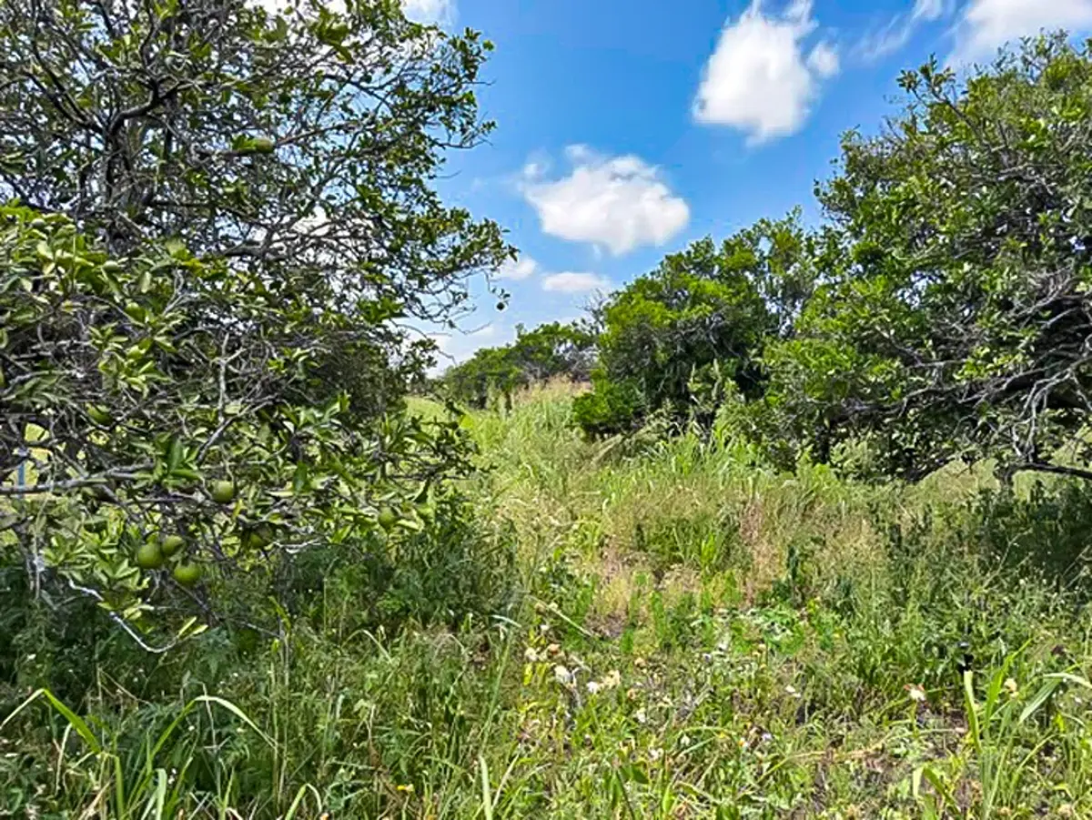 Terreno en venta en Hacienda San Isidro, Cadereyta Jiménez — foto 1 de 5