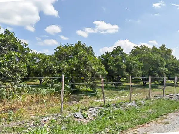 Terreno en venta en Hacienda San Isidro, Cadereyta Jiménez — foto 3 de 5