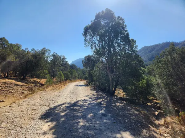 Terreno en venta en El Carmen (Las Vigas), Arteaga — foto 2 de 7