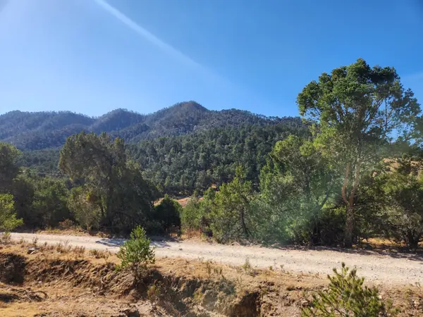 Terreno en venta en El Carmen (Las Vigas), Arteaga — foto 3 de 7