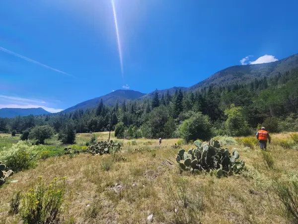 Terreno en venta en San Antonio de las Alazanas, Arteaga — foto 3 de 15