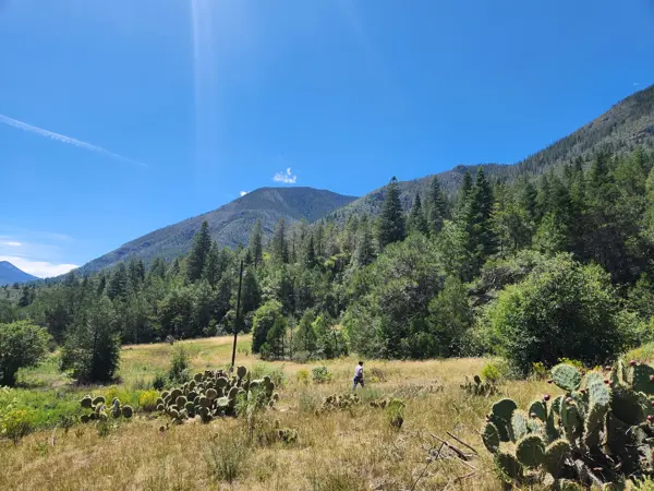 Terreno en venta en San Antonio de las Alazanas, Arteaga — foto 2 de 15