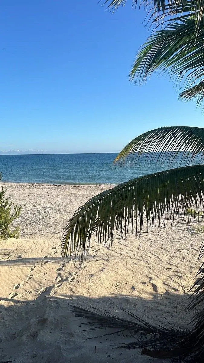 Casa en renta en Chelem, Progreso — foto 1 de 24