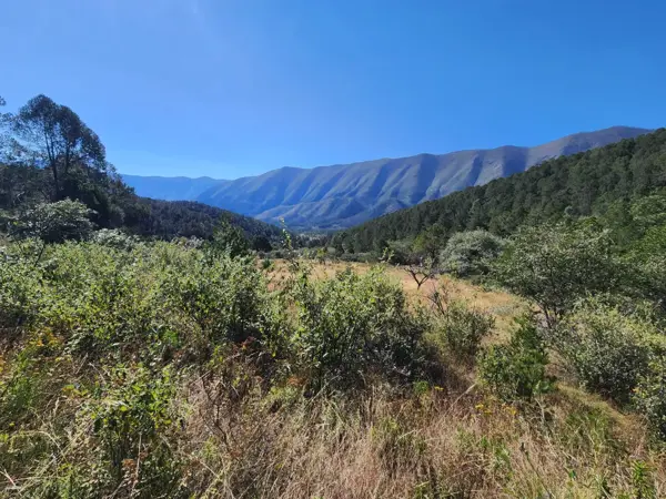 Terreno en venta en El Tunal, Arteaga — foto 3 de 6