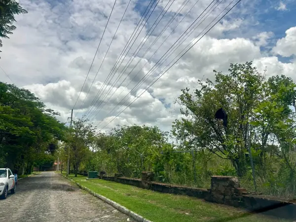 Terreno en venta en La Mojonera, Zapopan — foto 3 de 6