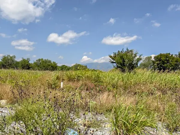 Terreno en venta en Hacienda San Isidro, Cadereyta Jiménez — foto 2 de 6