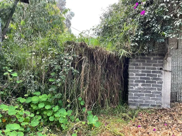 Terreno en venta en Viveros Coatectlán, Tlalpan — foto 3 de 12