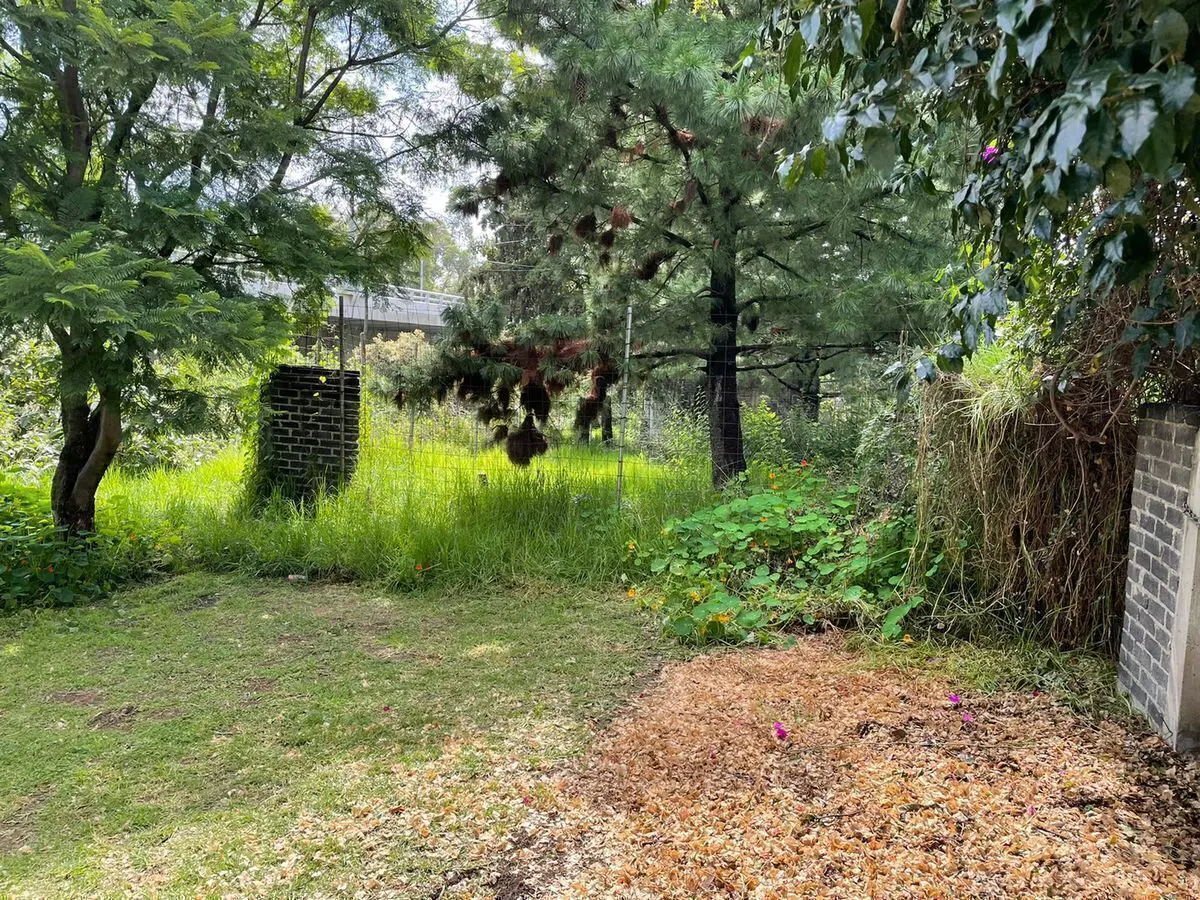 Terreno en venta en Viveros Coatectlán, Tlalpan — foto 1 de 12