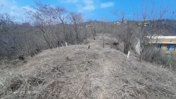 Terreno en venta en San Agustinillo, Santa María Tonameca — foto 2 de 10