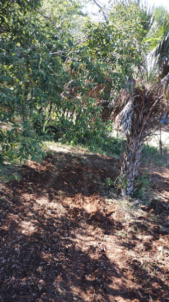 Terreno en venta en La Boca, Santiago — foto 2 de 13