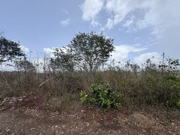 Terreno en venta en Teya, Kanasín — foto 3 de 16
