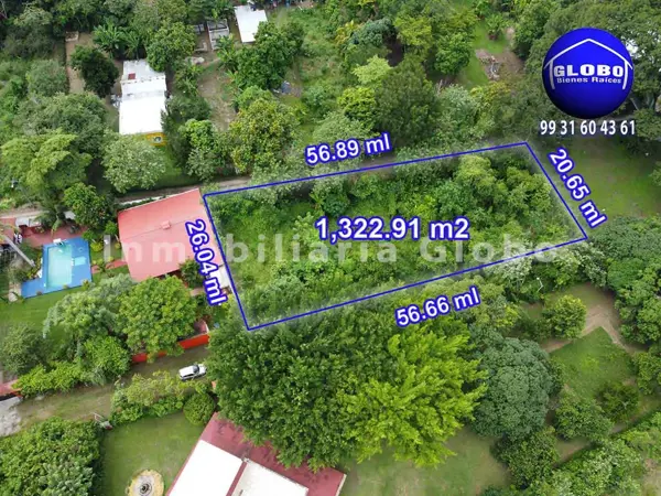 Terreno en venta en Guineo 1ra. Sección, Centro — foto 3 de 12