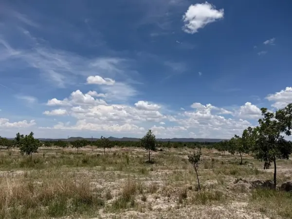 Finca-Rancho en venta en Parras, Parras — foto 3 de 15