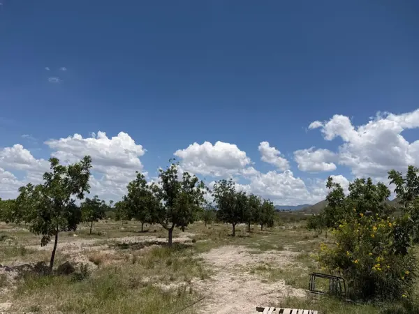 Finca-Rancho en venta en Parras, Parras — foto 2 de 15