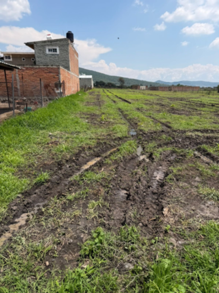 Terreno en venta en El Pedregal (Santa Clara del Pedregal), Ocotlán — foto 3 de 7