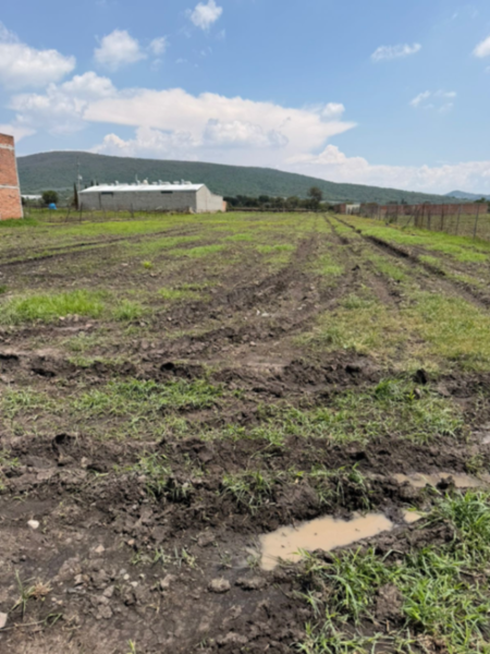 Terreno en venta en El Pedregal (Santa Clara del Pedregal), Ocotlán — foto 2 de 7