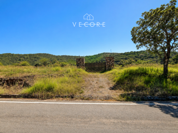 Terreno en venta en Tapalpa, Tapalpa — foto 2 de 18