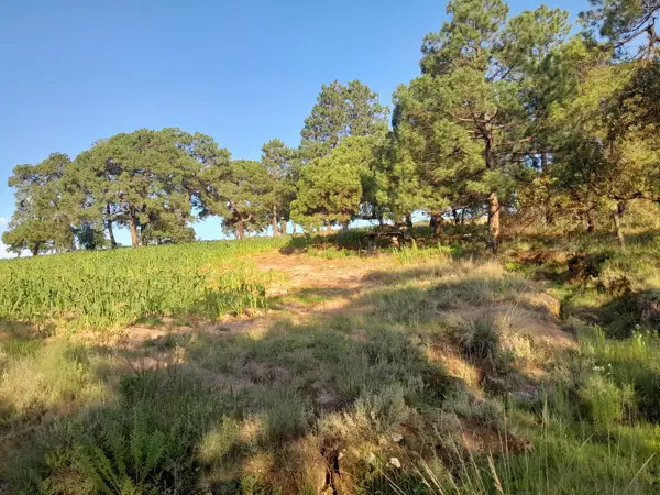 Terreno en venta en Gunyo Oriente, Aculco — foto 3 de 14