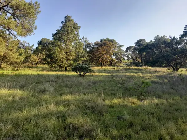 Terreno en venta en Gunyo Oriente, Aculco — foto 2 de 14