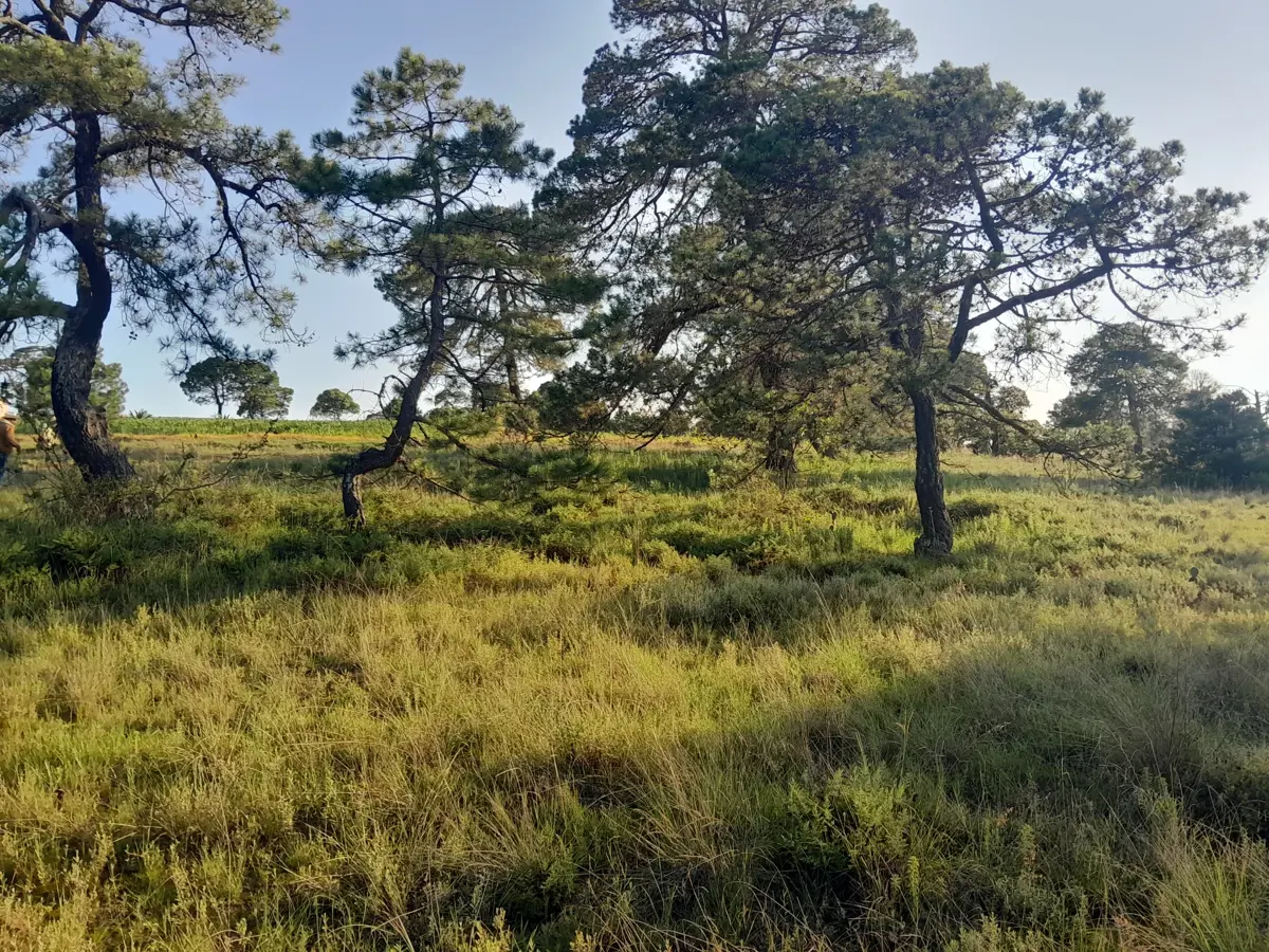 Terreno en venta en Gunyo Oriente, Aculco — foto 1 de 14