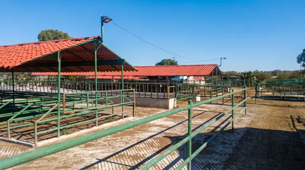 Finca-Rancho en venta en Ruano, Polotitlán — foto 2 de 8