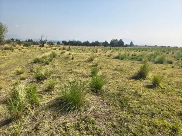 Terreno en venta en Santa Cruz Cuauhtenco, Zinacantepec — foto 3 de 6