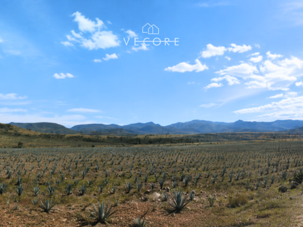 Terreno en venta en Ameca Centro, Ameca, Jalisco