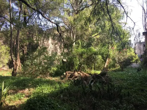 Terreno en venta en Portales Norte, Benito Juárez — foto 3 de 3