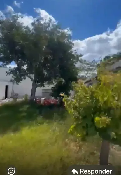 Casa en venta en Parras de la Fuente Centro, Parras — foto 2 de 5