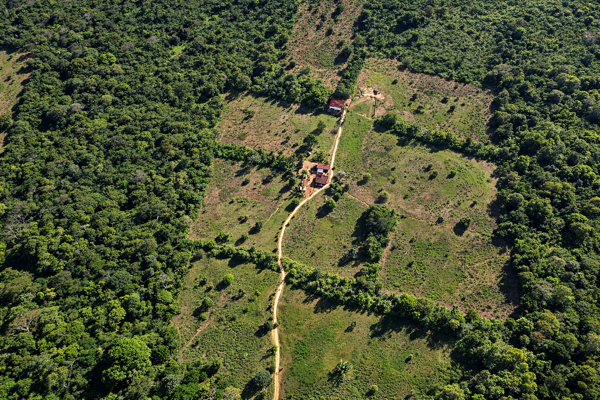 Finca-Rancho en venta en San Francisco, Panabá — foto 2 de 30