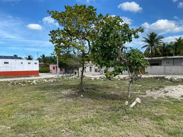 Terreno en venta en Telchac Puerto, Telchac Puerto — foto 3 de 14