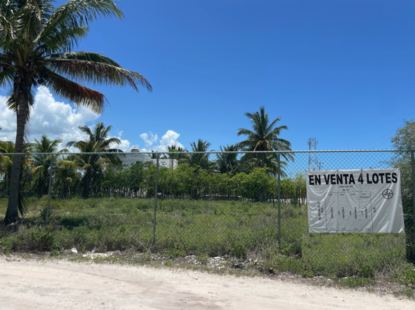 Terreno en venta en Telchac Puerto, Telchac Puerto — foto 3 de 48
