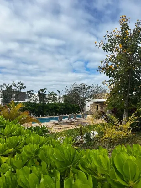Terreno en venta en Cholul, Mérida — foto 3 de 8