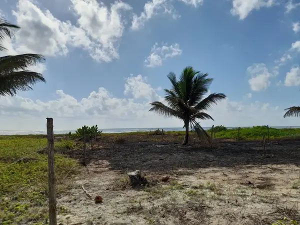 Terreno en venta en Mahahual, Othón P. Blanco — foto 3 de 6