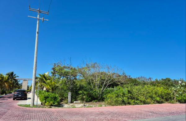Terreno en renta en Chelem, Progreso — foto 3 de 13