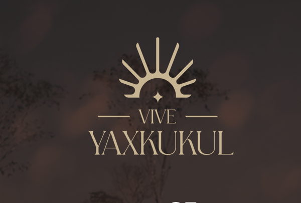 Terreno en Venta en Vive Yuxkukul