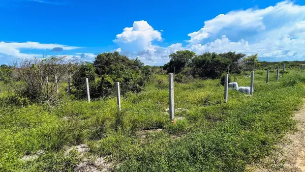 Terreno en venta en Xtampú, Dzemul — foto 2 de 12