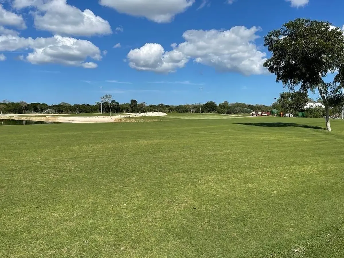Terreno en venta en Dzibilchaltún, Mérida — foto 1 de 22