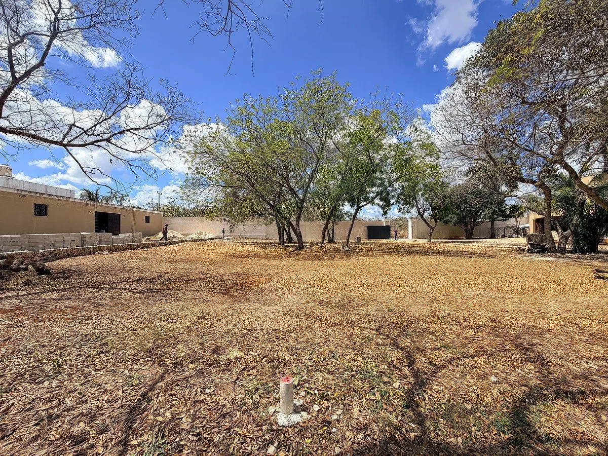 Terreno en venta en Dzitya, Mérida — foto 1 de 15