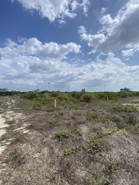Terreno en venta en San Benito, Dzemul — foto 3 de 19