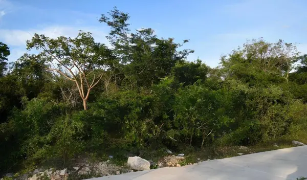 Terreno en venta en Santa María Yaxché, Mérida — foto 3 de 30
