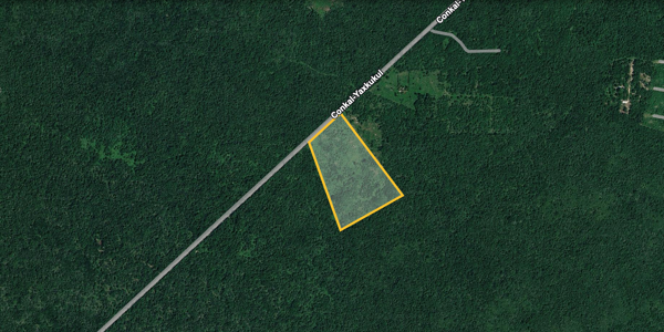 Terreno en venta en Yaxkukul, Yaxkukul — foto 3 de 16