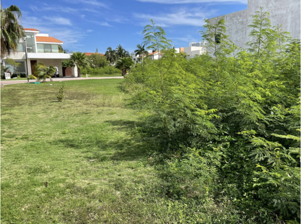 Terreno en venta en La Isla, Benito Juárez — foto 2 de 5