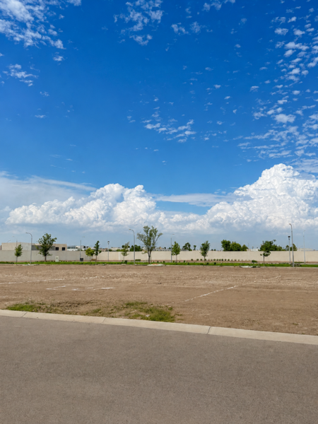Terreno en venta en Almeras, Torreón — foto 3 de 8